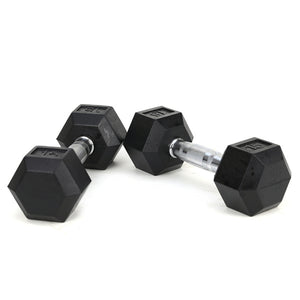 Reptiva 15LB Rubber Coated Solid Cast Iron Dumbbells – 2 HDRS