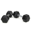 Reptiva 15LB Rubber Coated Solid Cast Iron Dumbbells – 2 HDRS