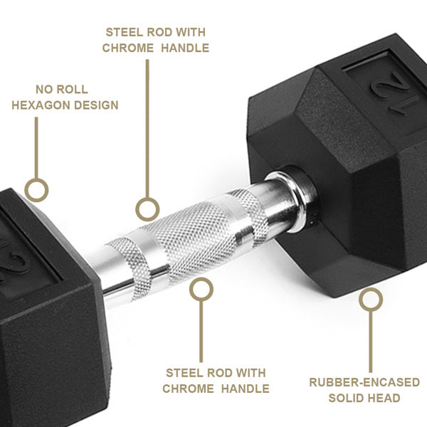 Reptiva 15LB Rubber Coated Solid Cast Iron Dumbbells – 2 HDRS