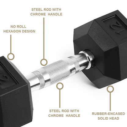 Reptiva 15LB Rubber Coated Solid Cast Iron Dumbbells – 2 HDRS
