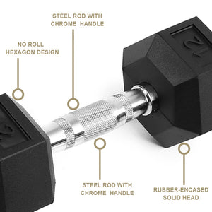 Reptiva 15LB Rubber Coated Solid Cast Iron Dumbbells – 2 HDRS