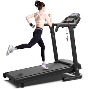 Reptiva Treadmill Q30-5