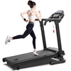 Reptiva Treadmill Q30-5