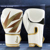 Reptiva Professional Boxing Gloves for Training & Bag Work
