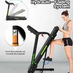Reptiva Treadmill JK8806-4-GR