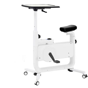 Reptiva Silent Magnetic Desk Bike