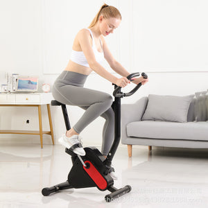 Reptiva Exercise Bike Exercise Equipment Webbing