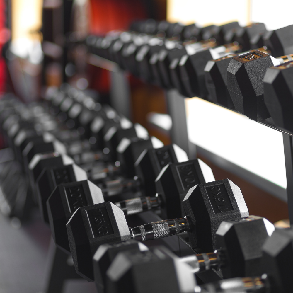 Row of black dumbbells on a rack in a gym setting